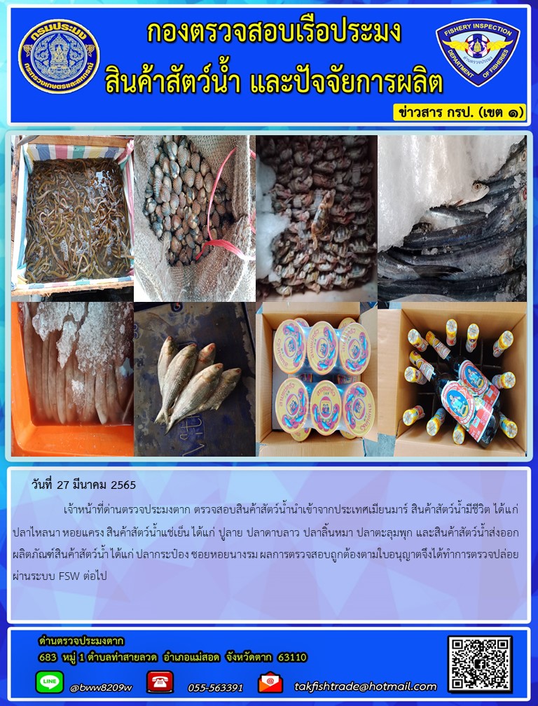 วันที่ 27 มีนาคม 2565   	     เจ้าหน้าที่ด่านตรวจประมงตาก ตรวจสอบสินค้าสัตว์น้ำนำเข้าจากประเทศเมียนมาร์ สินค้าสัตว์น้ำมีชีวิต ได้แก่ ปลาไหลนา หอยแครง สินค้าสัตว์น้ำแช่เย็น ได้แก่ ปูลาย ปลาดาบลาว ปลาลิ้นหมา ปลาตะลุมพุก และสินค้าสัตว์น้ำส่งออก ผลิตภัณฑ์สินค้าสัตว์น้ำ ได้แก่ ปลากระป๋อง ซอยหอยนางรม ผลการตรวจสอบถูกต้องตามใบอนุญาตจึงได้ทำการตรวจปล่อยผ่านระบบ FSW ต่อไป..คลิก