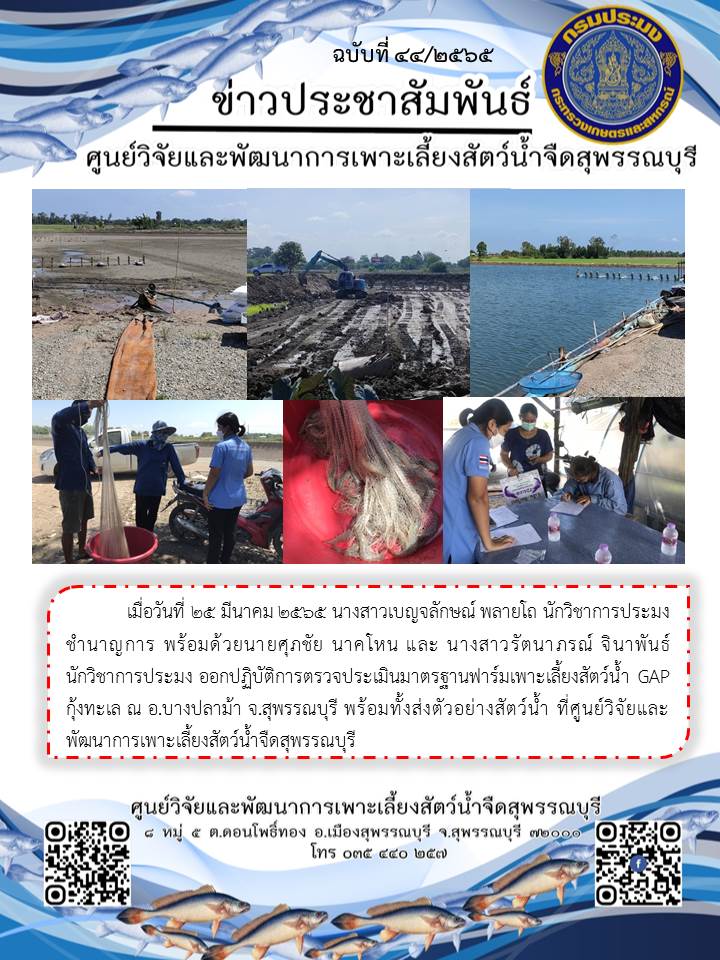 ข่าวประชาสัมพันธ์ฉบับที่ 44 ประจำเดือนมีนาคม 2565..คลิก