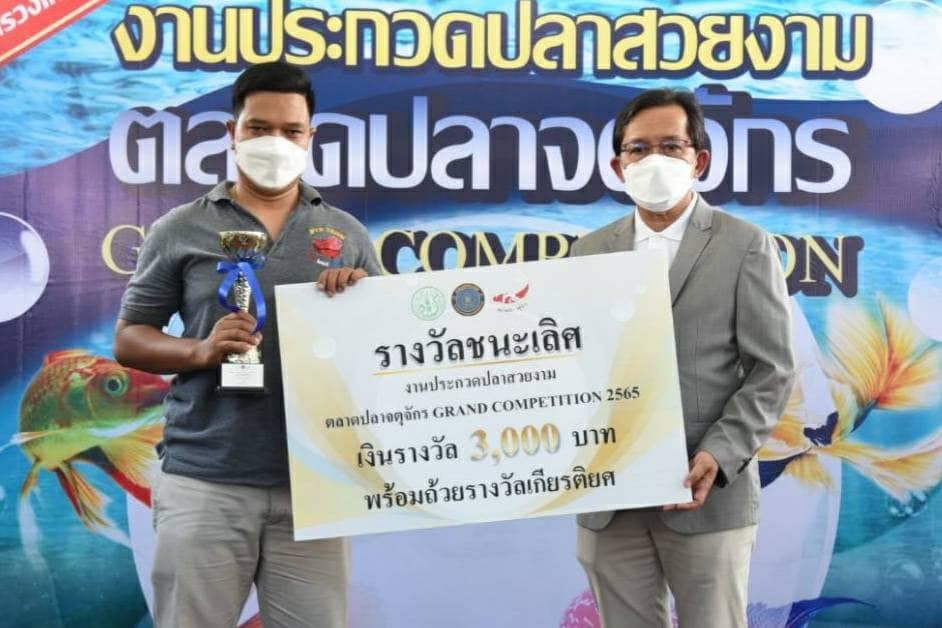 อธิบดีกรมประมง...มอบถ้วยรางวัลในงาน “ประกวดปลาสวยงาม ตลาดปลาจตุจักร”..คลิก