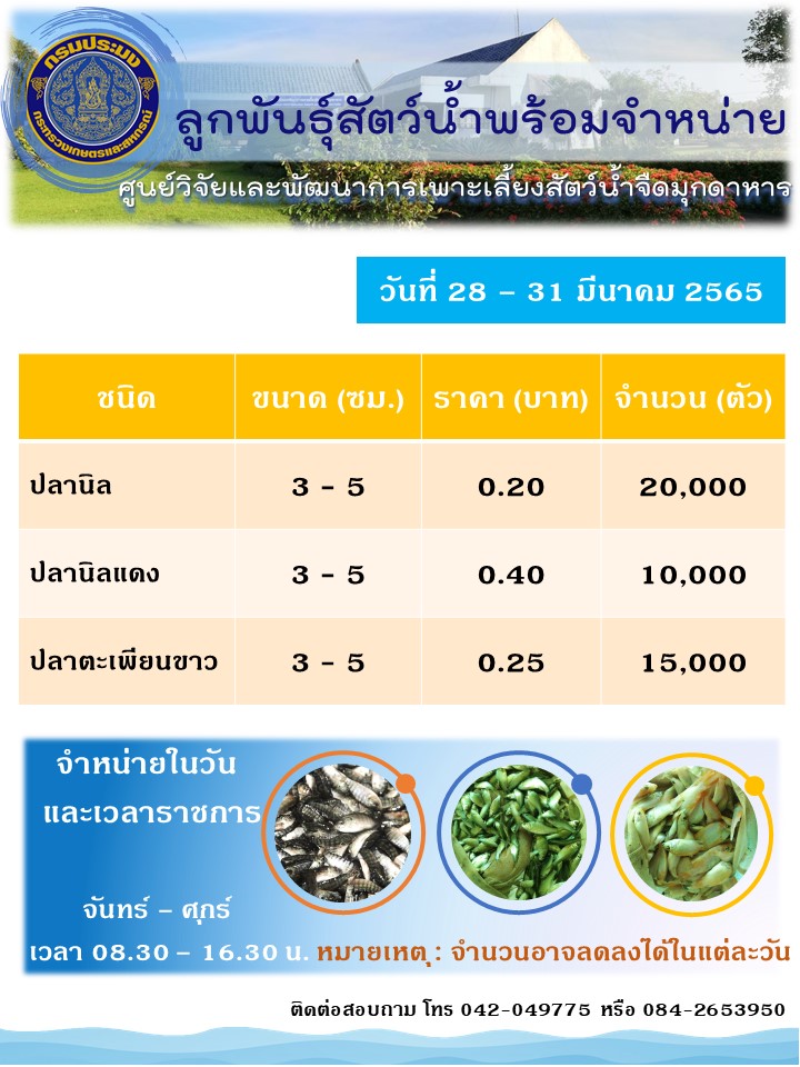 ลูกพันธุ์สัตว์น้ำพร้อมจำหน่าย