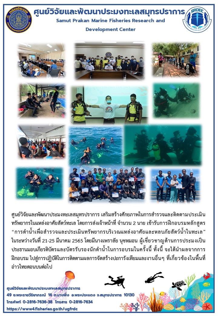 เจ้าหน้าที่ศูนย์วิจัยและพัฒนาประมงทะเลสมุทรปราการ เข้ารับการฝึกอบรมหลักสูตร “การดำน้ำเพื่อสำรวจและประเมินทรัพยากรบริเวณแหล่งอาศัยและหลบภัยสัตว์น้ำในทะเล”..คลิก