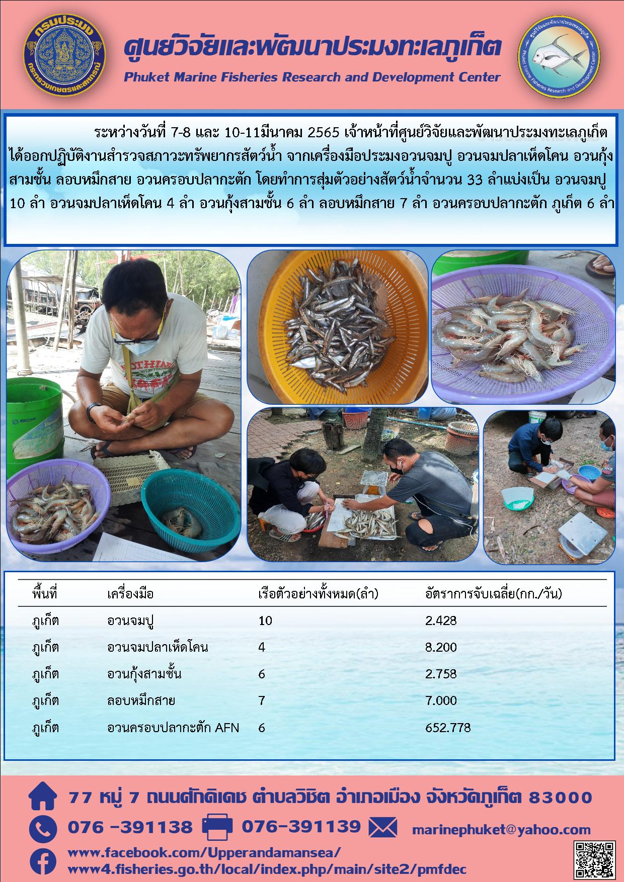 ระหว่างวันที่ 7-8 และ 10-11มีนาคม2565 เจ้าหน้าที่ศูนย์วิจัยและพัฒนาประมงทะเลภูเก็ต ได้ออกปฏิบัติงานสำรวจสภาวะทรัพยากรสัตว์น้ำ จากเครื่องมือประมง อวนจมปู อวนจมปลาเห็ดโคน อวนกุ้งสามชั้น ลอบหมึกสาย อวนครอบปลากะตัก..คลิก