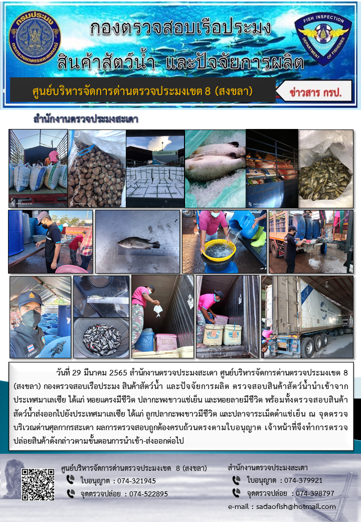 ประชาสัมพันธ์การปฏิบัติงาน วันที่ 29 มีนาคม 2565 สำนักงานตรวจประมงสะเดา..คลิก