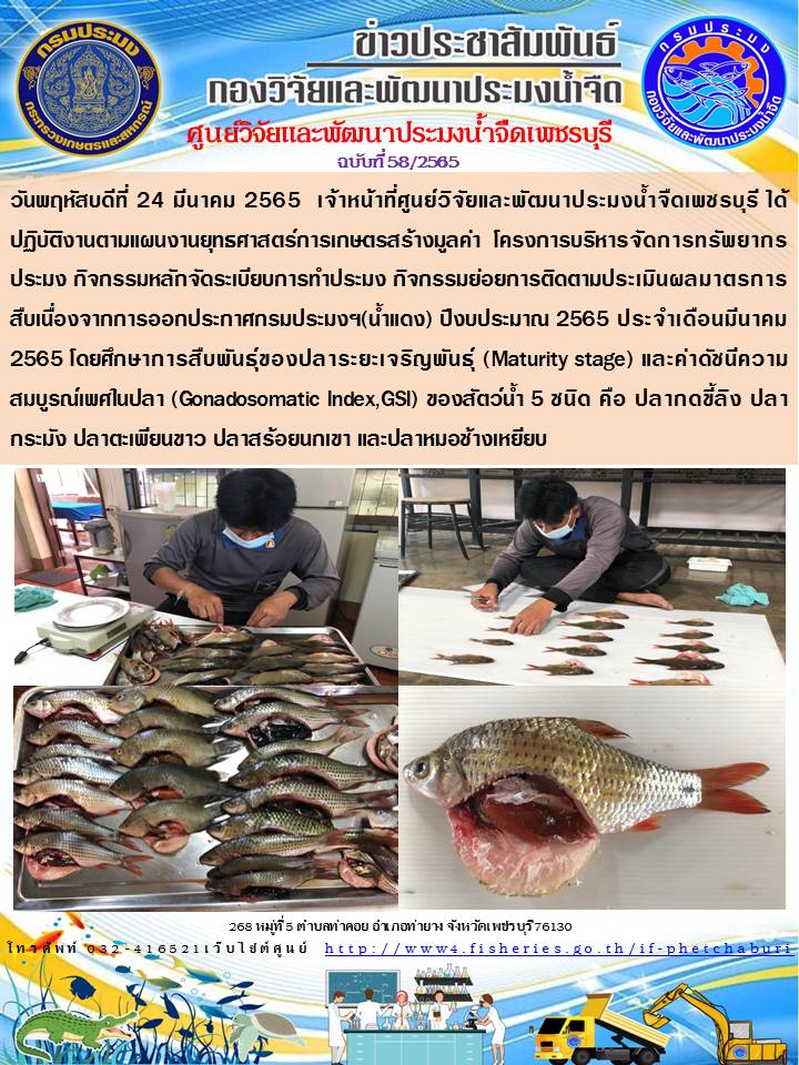 ข่าวประชาสัมพันธ์ครั้งที่ 58/2565