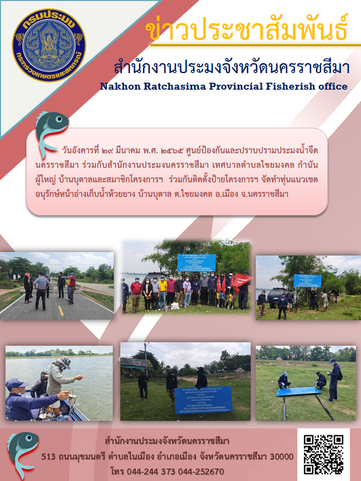 หัวหน้ากลุ่มบริหารจัดการด้านประมง และนักวิชาการประมงชำนาญการ ศูนย์ป้องกันและปราบปรามประมงน้ำจืด เทศบาลตำบลไชยมงคล กำนัน ผู้ใหญ่ บ้านบุตาลและสมาชิก ร่วมกัน ติดตั้งป้ายโครงการ จัดทำทุ่นแนวเขตอนุรักษ์หน้าอ่างเก็บน้ำห้วยยาง..คลิก