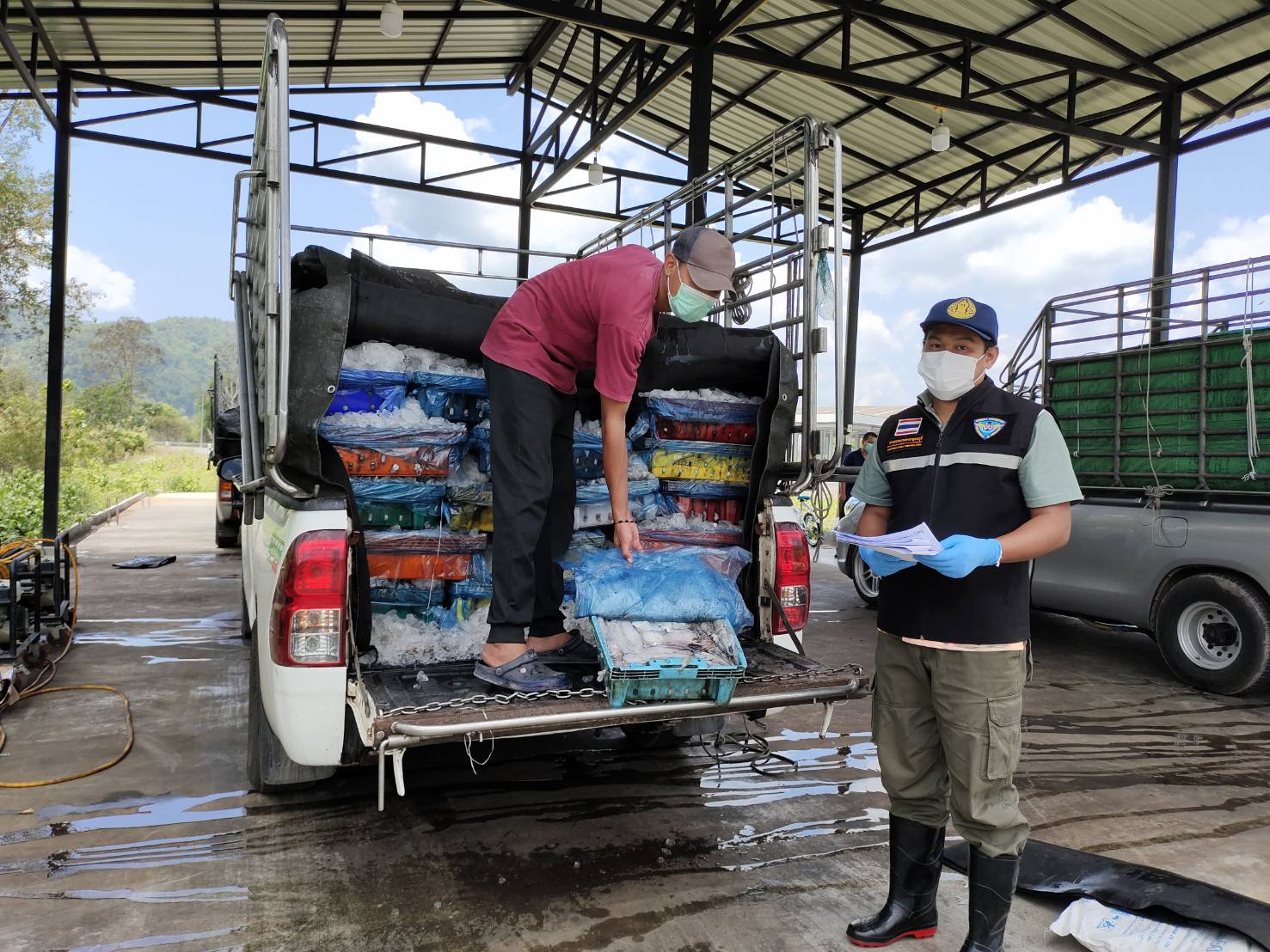 นายสมพงษ์ คำพล หัวหน้าด่านตรวจประมงกาญจนบุรี มอบหมายให้ เจ้าหน้าที่ด่านตรวจประมงกาญจนบุรี ตรวจสอบสินค้าสัตว์น้ำและเอกสารการนำเข้า หมึกกล้วยแช่เย็น หมึกหอมแช่เย็น ปูม้าแช่เย็น และสัตว์น้ำอื่นๆ ผ่านทางช่องทางจุดผ่านแดนถาวรบ้านพุน้ำร้อน..คลิก