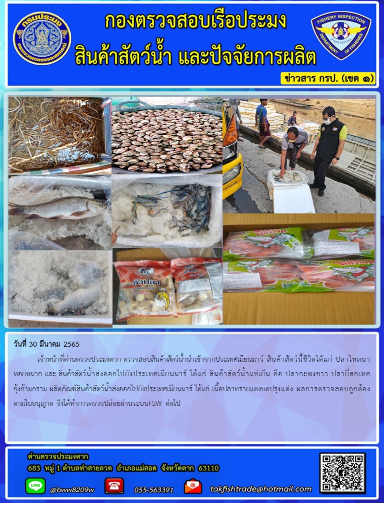 วันที่ 30 มีนาคม 2565  	เจ้าหน้าที่ด่านตรวจประมงตาก ตรวจสอบสินค้าสัตว์น้ำนำเข้าจากประเทศเมียนมาร์ สินค้าสัตว์นี้ชีวิตได้แก่ ปลาไหลนา หอยหมาก และ สินค้าสัตว์น้ำส่งออกไปยังประเทศเมียนมาร์ ได้แก่ สินค้าสัตว์น้ำแช่เย็น คือ ปลากะพงขาว ปลายี่สกเทศกุ้งก้ามกราม ผลิตภัณฑ์สินค้าสัตว์น้ำส่งออกไปยังประเทศเมียนมาร์ ได้แก่ เนื้อปลาทรายแดงบดปรุงแต่ง ผลการตรวจสอบถูกต้องตามใบอนุญาต จึงได้ทำการตรวจปล่อยผ่านระบบFSW ต่อไป..คลิก
