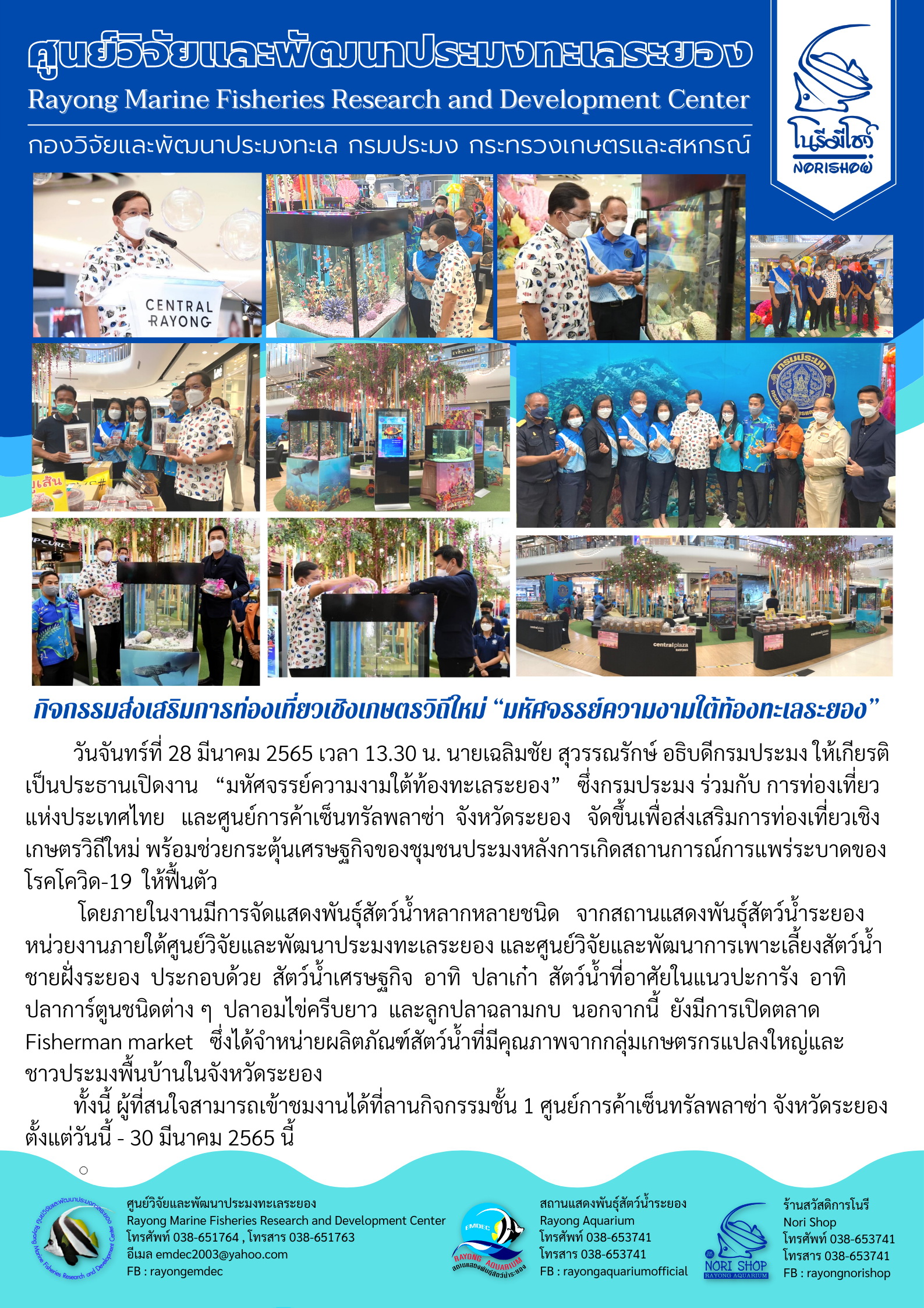 มหัศจรรย์ความงามใต้ท้องทะเลระยอง