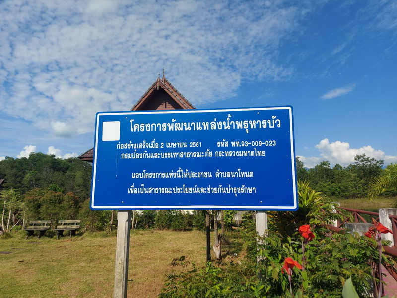 สนับสนุนพันธุ์ปลากินพืช เพื่อปล่อยลงสู่พรุหารบัว อ.เมือง จ.พัทลุง..คลิก
