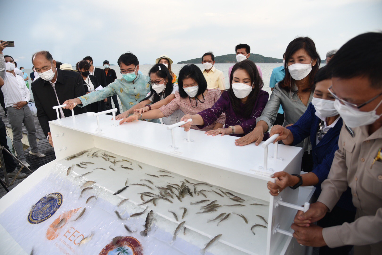 ศูนย์วิจัยและพัฒนาการเพาะเลี้ยงสัตว์น้ำชายฝั่งระยอง เข้าร่วมพิธีลงนามบันทึกข้อตกลงความร่วมมือ (MOU) การพัฒนาความยั่งยืนของสัตว์ทะเลในพื้นที่เขตพัฒนาพิเศษภาคตะวันออก..คลิก