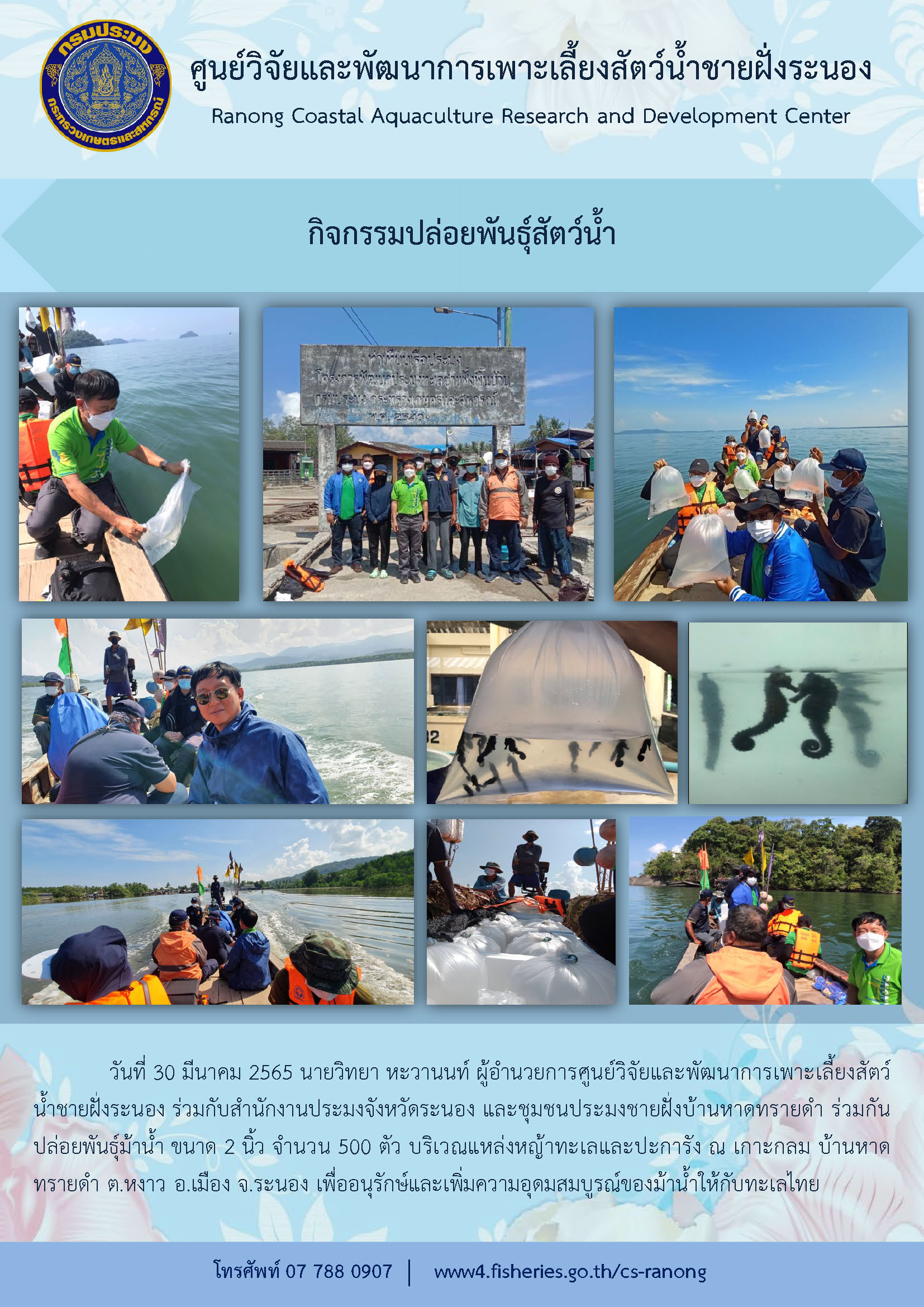 กิจกรรมปล่อยพันธุ์สัตว์น้ำ (ม้าน้ำ)..คลิก