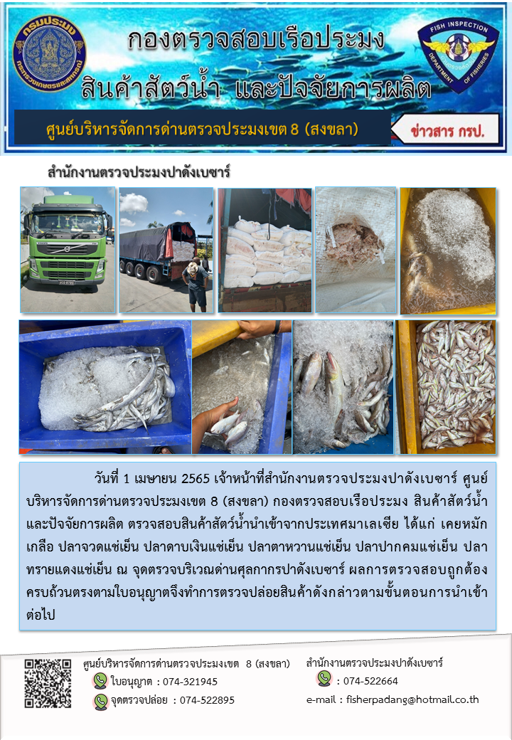 ประชาสัมพันธ์การปฏิบัติงาน วันที่ 1 เมษายน 2565 สำนักงานตรวจประมงปาดังเบซาร์..คลิก
