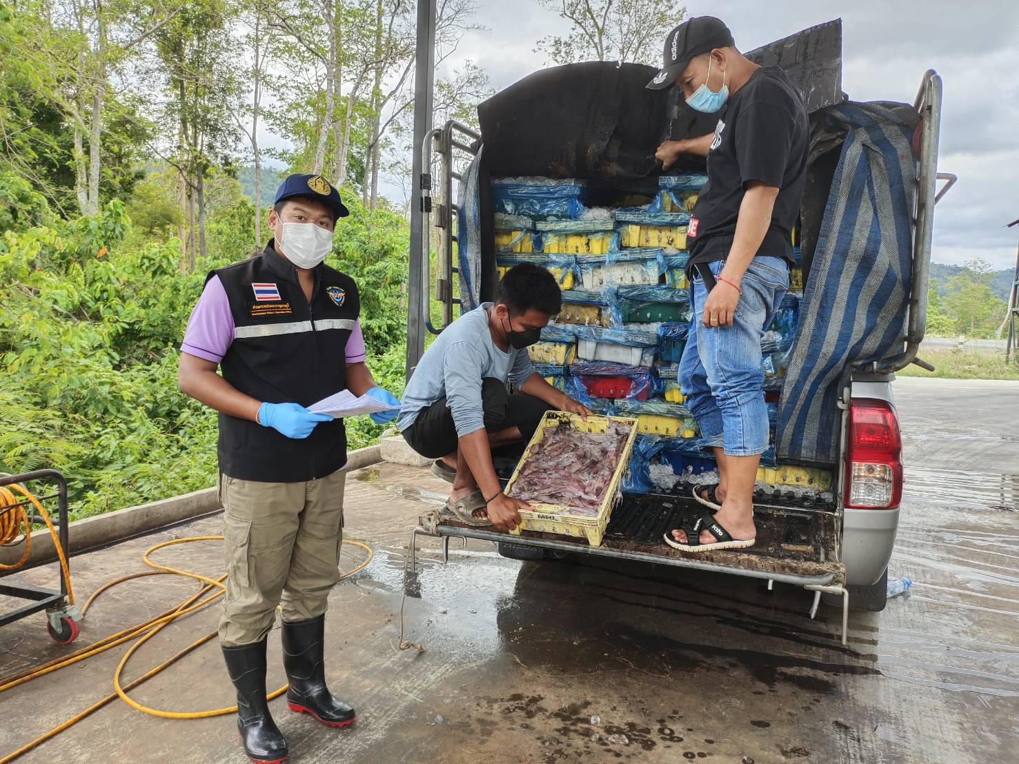 วันที่ 2 เมษายน 2565 นายสมพงษ์ คำพล หัวหน้าด่านตรวจประมงกาญจนบุรี มอบหมายให้ เจ้าหน้าที่ด่านตรวจประมงกาญจนบุรี ตรวจสอบสินค้าสัตว์น้ำและเอกสารการนำเข้า หมึกหอมแช่เย็น หมึกกล้วยแช่เย็น และสัตว์น้ำอื่นๆ ผ่านทางช่องทางจุดผ่านแดนถาวรบ้านพุน้ำร้อน..คลิก