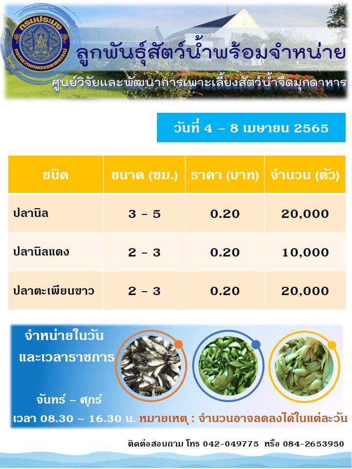 ลูกพันธุ์สัตว์น้ำพร้อมจำหน่าย..คลิก