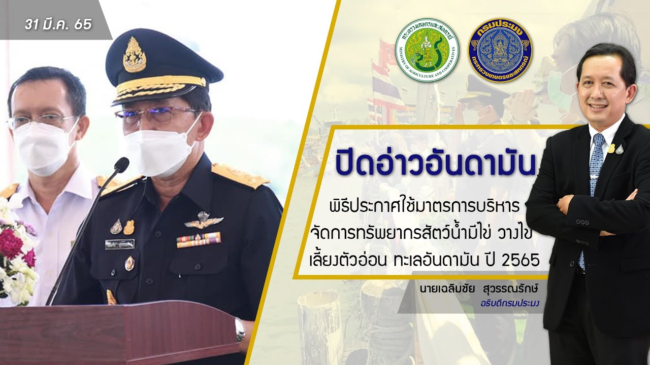 ข่าววีดิทัศน์กรมประมง พิธีปิดอ่าวทะเลฝั่งอันดามัน ประจำปี พ.ศ.2565..คลิก