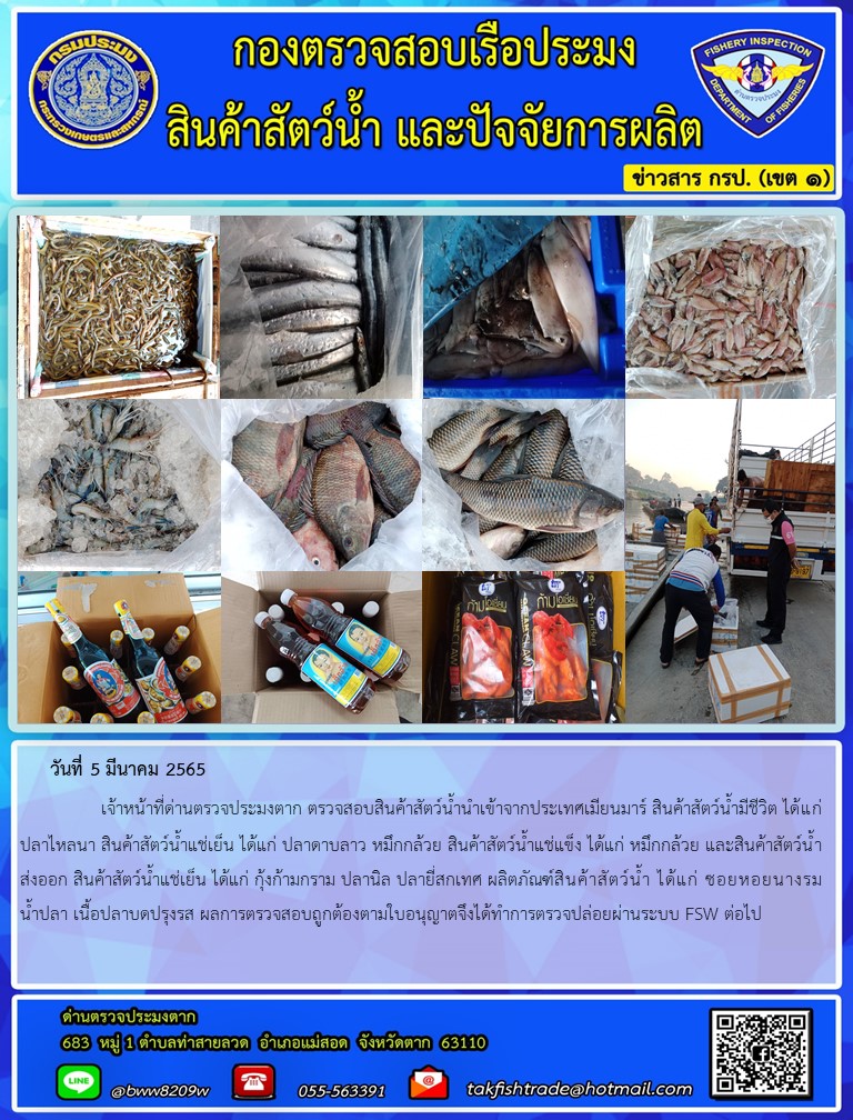 วันที่ 5 มีนาคม 2565   	     เจ้าหน้าที่ด่านตรวจประมงตาก ตรวจสอบสินค้าสัตว์น้ำนำเข้าจากประเทศเมียนมาร์ สินค้าสัตว์น้ำมีชีวิต ได้แก่ ปลาไหลนา สินค้าสัตว์น้ำแช่เย็น ได้แก่ ปลาดาบลาว หมึกกล้วย สินค้าสัตว์น้ำแช่แข็ง ได้แก่ หมึกกล้วย และสินค้าสัตว์น้ำส่งออก สินค้าสัตว์น้ำแช่เย็น ได้แก่ กุ้งก้ามกราม ปลานิล ปลายี่สกเทศ ผลิตภัณฑ์สินค้าสัตว์น้ำ ได้แก่ ซอยหอยนางรม น้ำปลา เนื้อปลาบดปรุงรส ผลการตรวจสอบถูกต้องตามใบอนุญาตจึงได้ทำการตรวจปล่อยผ่านระบบ FSW ต่อไป