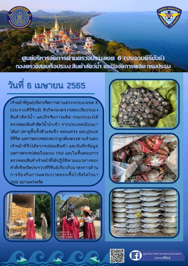 สินค้าสัตว์น้ำนำเข้าจากประเทศเมียนมา