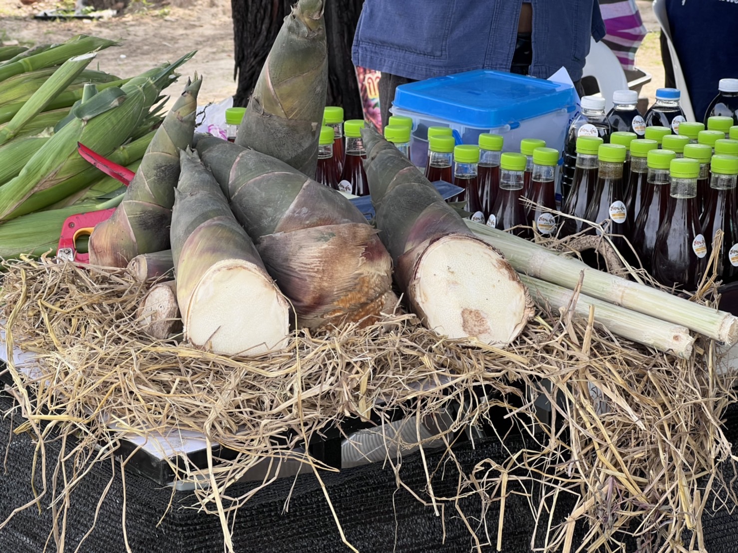 ประมงจังหวัดอุบลราชธานีร่วมพิธีเปิดเทศกาล”ช้อปของเด่น กินของดีที่มาระแม ครั้งที่ 3”..คลิก