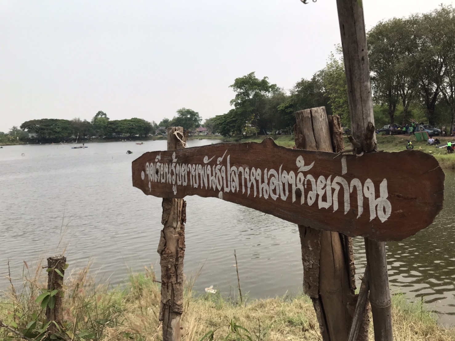 วันที่ 7 เมษายน 2565 จัดกิจกรรมจับปลาในแหล่งน้ำขึ้นใช้ประโยชน์ด้วยวิธีการขายบัตรจับปลาโดยใช้เครื่องมือแห ยอ และสวิง มีผู้สนใจเข้าร่วมกิจกรรมประมาณ 450 คน..คลิก