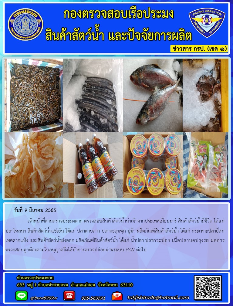 วันที่ 9 มีนาคม 2565   	     เจ้าหน้าที่ด่านตรวจประมงตาก ตรวจสอบสินค้าสัตว์น้ำนำเข้าจากประเทศเมียนมาร์ สินค้าสัตว์น้ำมีชีวิต ได้แก่ ปลาไหลนา สินค้าสัตว์น้ำแช่เย็น ได้แก่ ปลาดาบลาว ปลาตะลุมพุก ปูม้า ผลิตภัณฑ์สินค้าสัตว์น้ำ ได้แก่ กระเพาะปลายี่สกเทศตากแห้ง และสินค้าสัตว์น้ำส่งออก ผลิตภัณฑ์สินค้าสัตว์น้ำ ได้แก่ น้ำปลา ปลากระป๋อง เนื้อปลาบดปรุงรส ผลการตรวจสอบถูกต้องตามใบอนุญาตจึงได้ทำการตรวจปล่อยผ่านระบบ FSW ต่อไป..คลิก