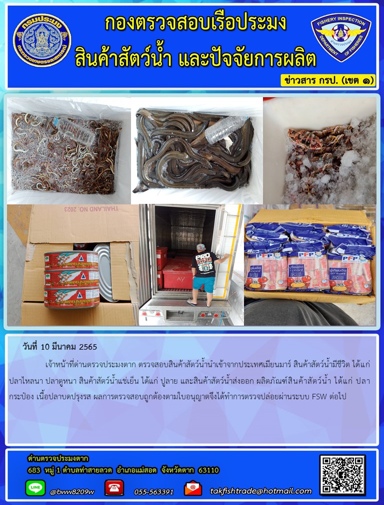 วันที่ 10 มีนาคม 2565   	     เจ้าหน้าที่ด่านตรวจประมงตาก ตรวจสอบสินค้าสัตว์น้ำนำเข้าจากประเทศเมียนมาร์ สินค้าสัตว์น้ำมีชีวิต ได้แก่ ปลาไหลนา ปลาตูหนา สินค้าสัตว์น้ำแช่เย็น ได้แก่ ปูลาย และสินค้าสัตว์น้ำส่งออก ผลิตภัณฑ์สินค้าสัตว์น้ำ ได้แก่ ปลากระป๋อง เนื้อปลาบดปรุงรส ผลการตรวจสอบถูกต้องตามใบอนุญาตจึงได้ทำการตรวจปล่อยผ่านระบบ FSW ต่อไป