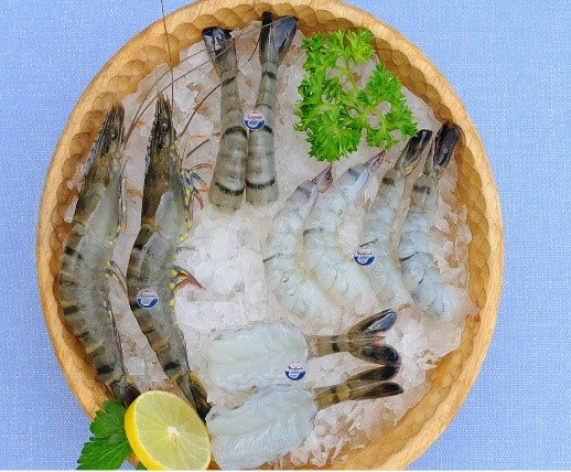การส่งออกกุ้งของเวียดนามในปี 2564 มาแรงแซงการแพร่ระบาดของ COVID – 19