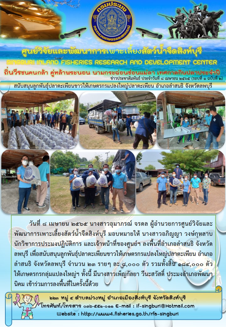 สนับสนุนลูกพันธุ์ปลาตะเพียนขาวให้เกษตรกรแปลงใหญ่ปลาตะเพียน อำเภอลำสนธิ จังหวัดลพบุรี..คลิก