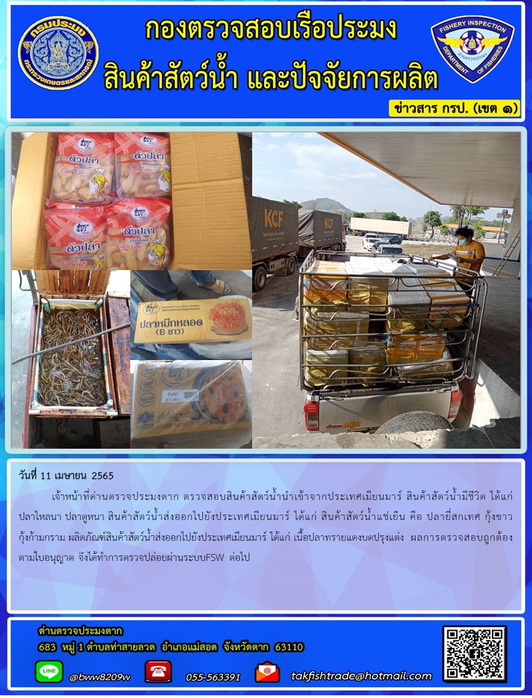 วันที่ 11 เมษายน 2565  	เจ้าหน้าที่ด่านตรวจประมงตาก ตรวจสอบสินค้าสัตว์น้ำนำเข้าจากประเทศเมียนมาร์ สินค้าสัตว์น้ำมีชีวิต ได้แก่ปลาไหลนา ปลาตูหนา สินค้าสัตว์น้ำส่งออกไปยังประเทศเมียนมาร์ ได้แก่ สินค้าสัตว์น้ำแช่เย็น คือ ปลายี่สกเทศ กุ้งขาว กุ้งก้ามกราม ผลิตภัณฑ์สินค้าสัตว์น้ำส่งออกไปยังประเทศเมียนมาร์ ได้แก่ เนื้อปลาทรายแดงบดปรุงแต่ง  ผลการตรวจสอบถูกต้องตามใบอนุญาต จึงได้ทำการตรวจปล่อยผ่านระบบFSW ต่อไป..คลิก