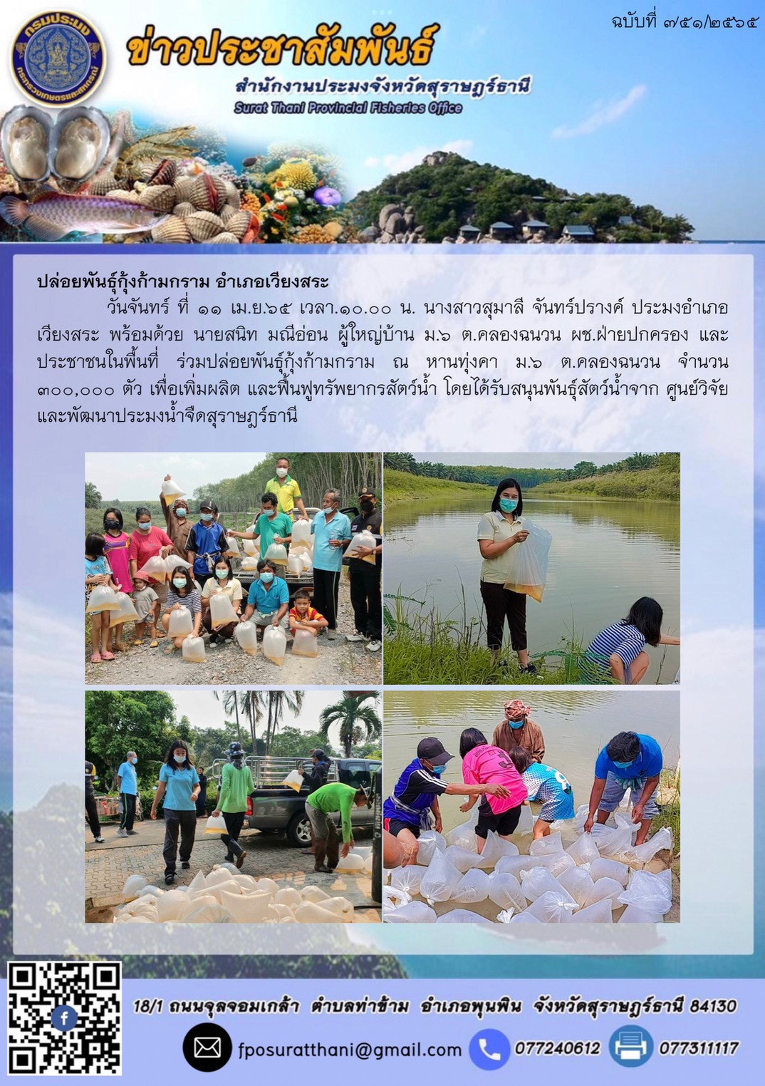 ปล่อยพันธุ์กุ้งก้ามกราม อำเภอเวียงสระ ..คลิก