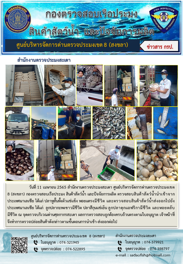 ประชาสัมพันธ์การปฏิบัติงาน วันที่ 11 เมษายน 2565 สำนักงานตรวจประมงสะเดา..คลิก