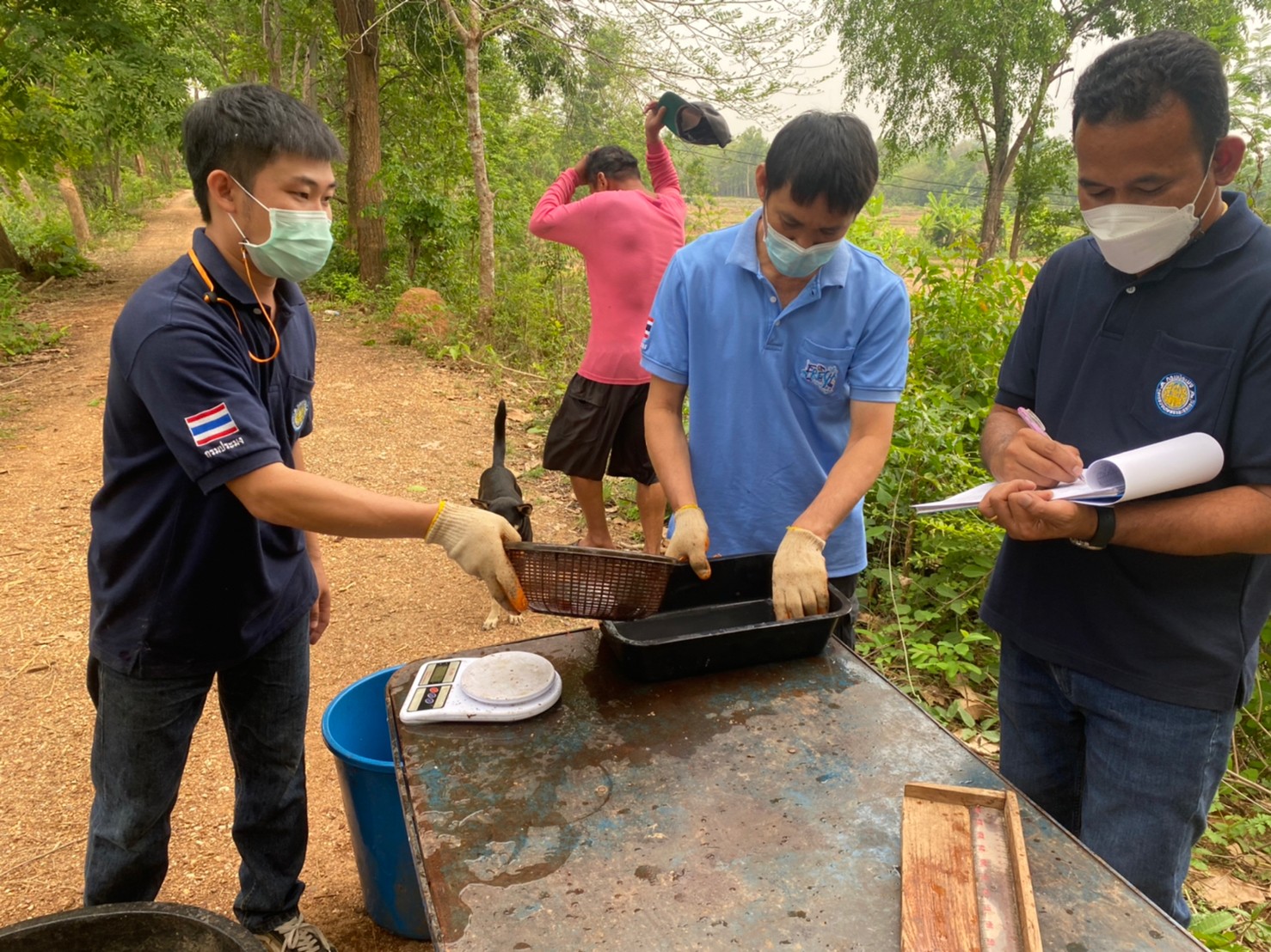 ประเมินผลจับสัตว์น้ำต่อหน่วยการลงแรงประมง(CPUE) หลังปล่อยสัตว์น้ำ ครั้งที่ 1 โครงการธนาคารสินค้าเกษตร (กิจกรรมสนับสนุนธนาคารผลผลิตสัตว์น้ำแบบมีส่วนร่วม) ปีงบประมาณ 2565..คลิก