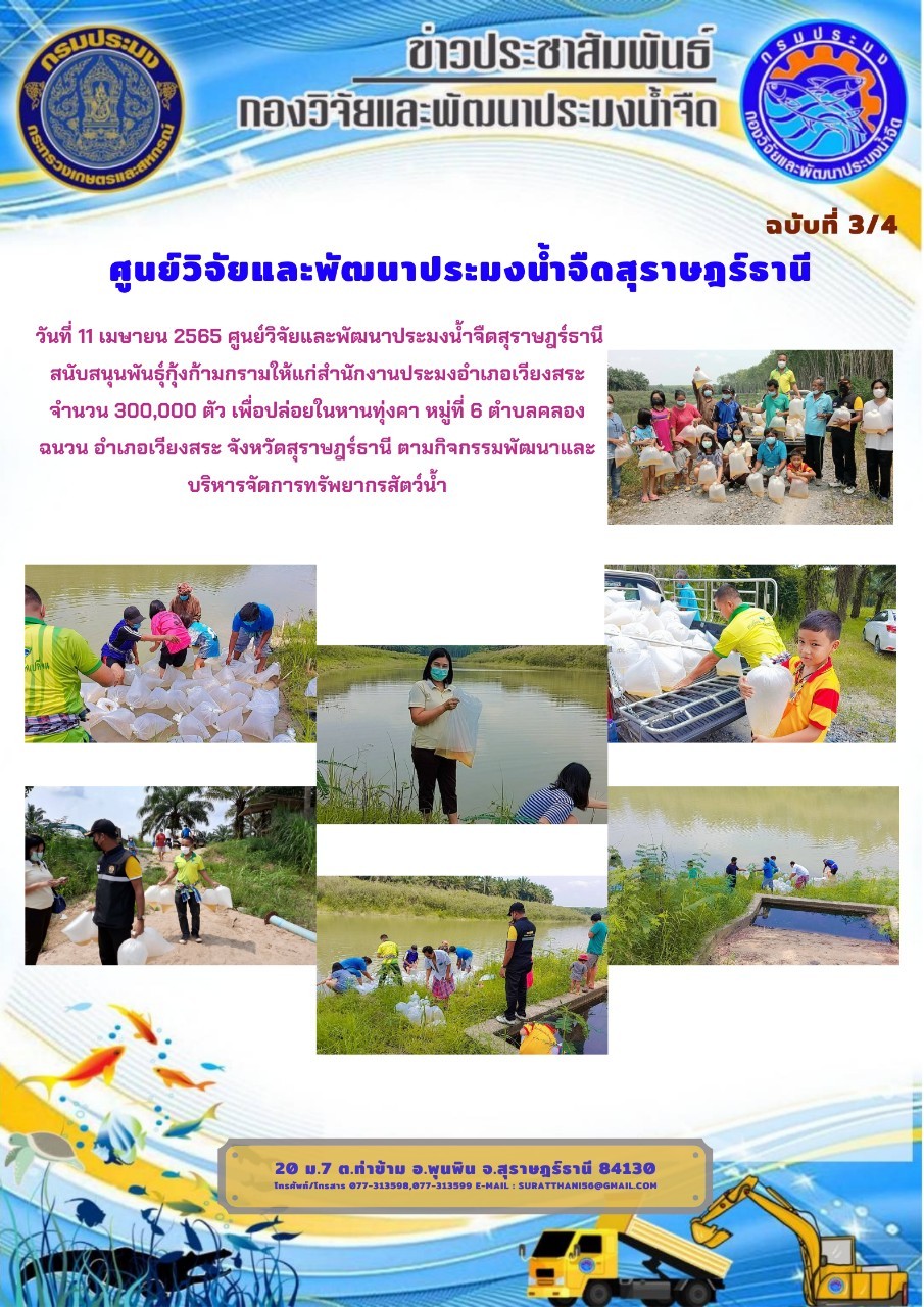 วันที่ 11 เมษายน 2565 สนับสนุนพันธุ์กุ้งก้ามกรามให้แก่สำนักงานประมงอำเภอเวียงสระ จำนวน 300,000 ตัว..คลิก