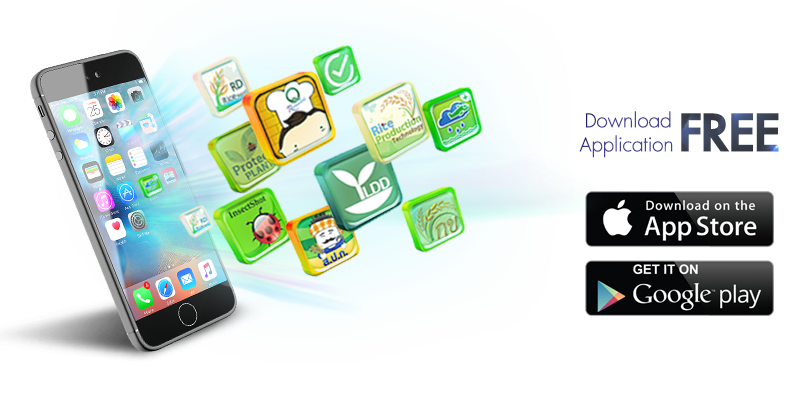 Mobile Application ที่น่าสนใจ