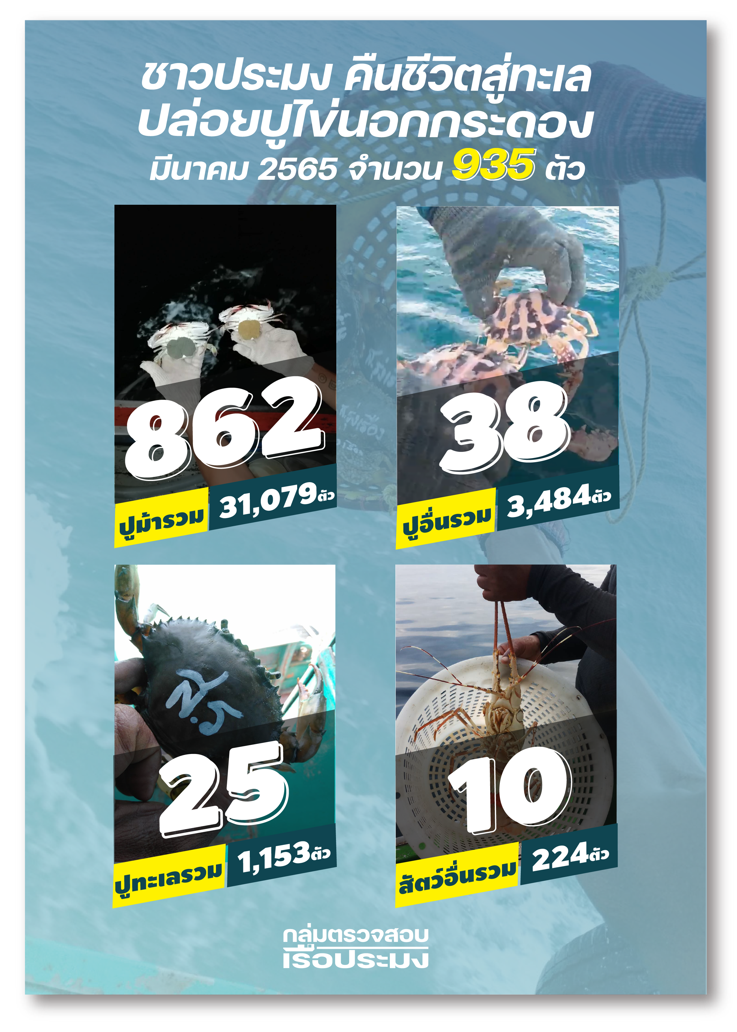 รายงานชาวประมงปล่อยปูไข่นอกกระดอง มีนาคม 2565..คลิก