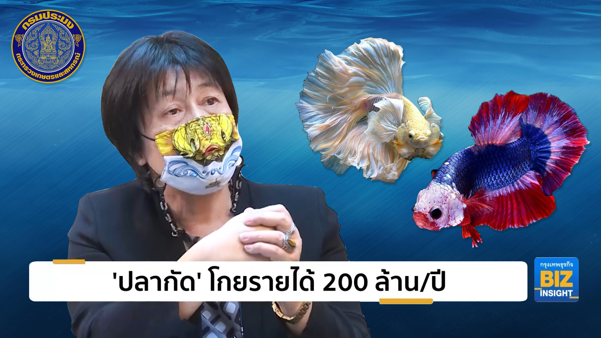 เชิญรับชมการสัมภาษณ์ทางโทรทัศน์ ’ปลากัดไทยกระหึ่มโลก ส่งออกคึกคัก ออร์เดอร์ทะลัก โกยรายได้เข้าประเทศปีละกว่า 200 ล้านบาท’ รายการกรุงเทพธุรกิจ biz insight สถานีโทรทัศน์เนชั่นทีวี ช่อง 22..คลิก