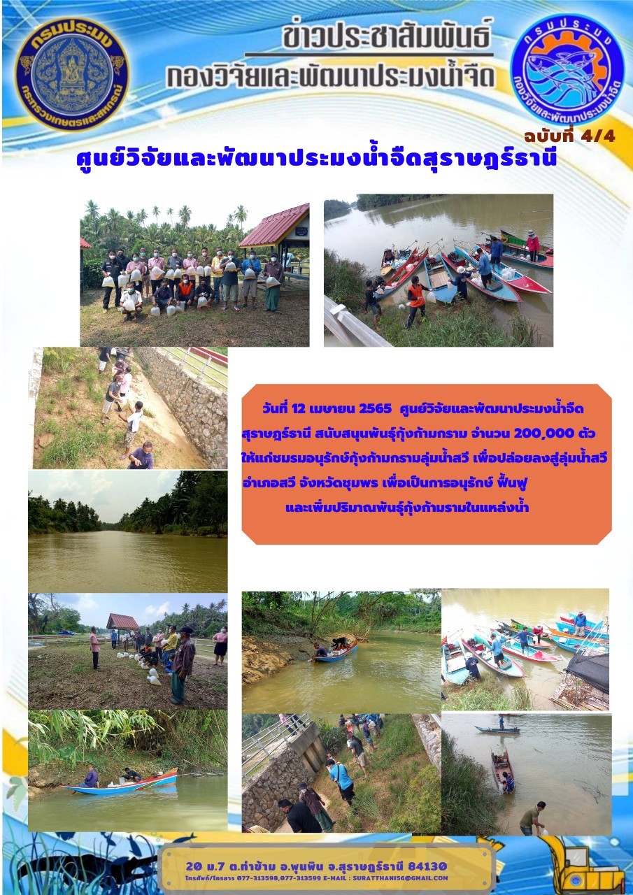 วันที่ 12 เมษายน 2565  สนับสนุนพันธุ์กุ้งก้ามกราม จำนวน 200,000 ตัว ให้แก่ชมรมอนุรักษ์กุ้งก้ามกรามลุ่มน้ำสวี..คลิก