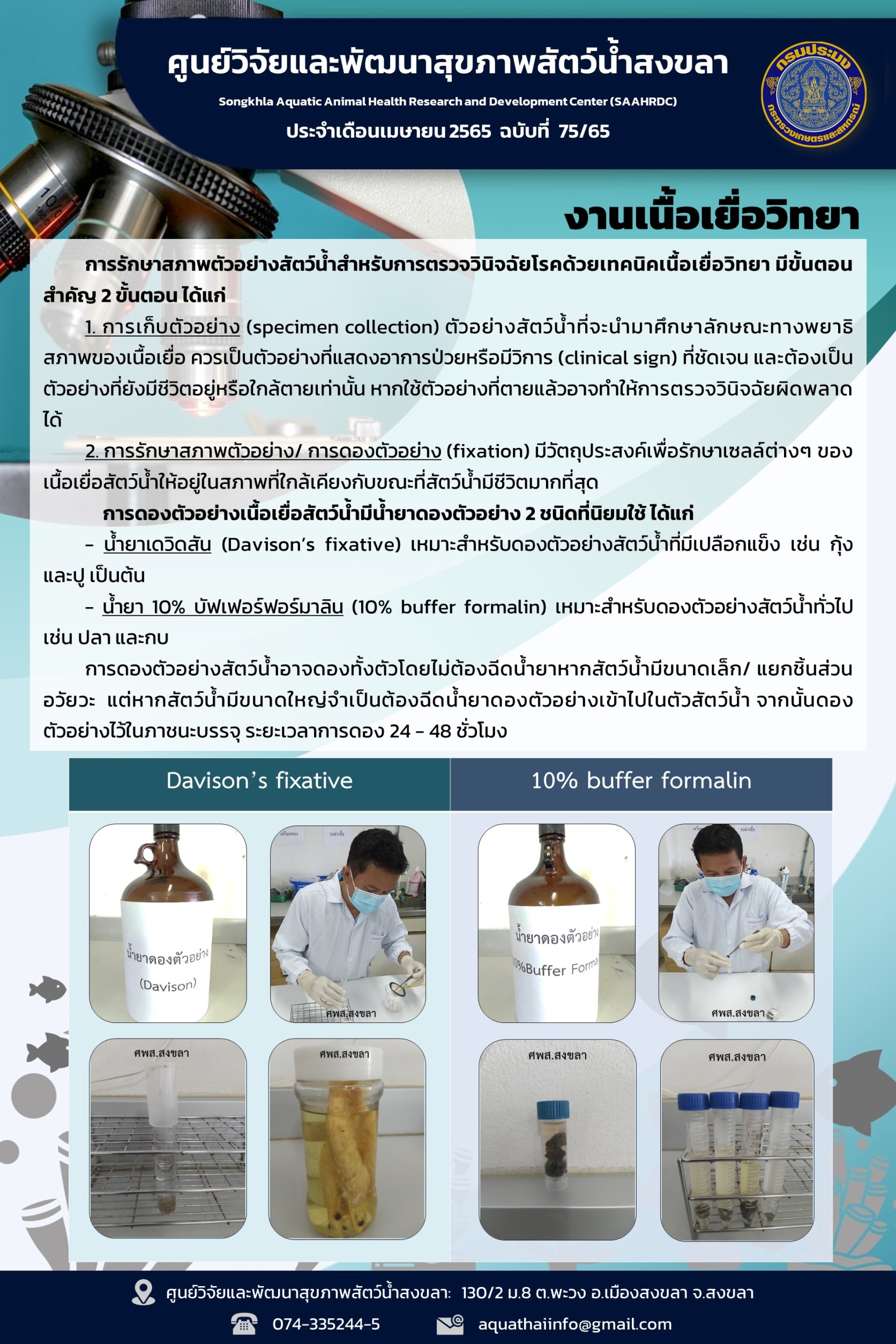 ฉบับที่ 75/65 การรักษาสภาพตัวอย่างสัตว์น้ำสำหรับการตรวจวินิจฉัยโรคด้วยเทคนิคเนื้อเยื่อวิทยา..คลิก