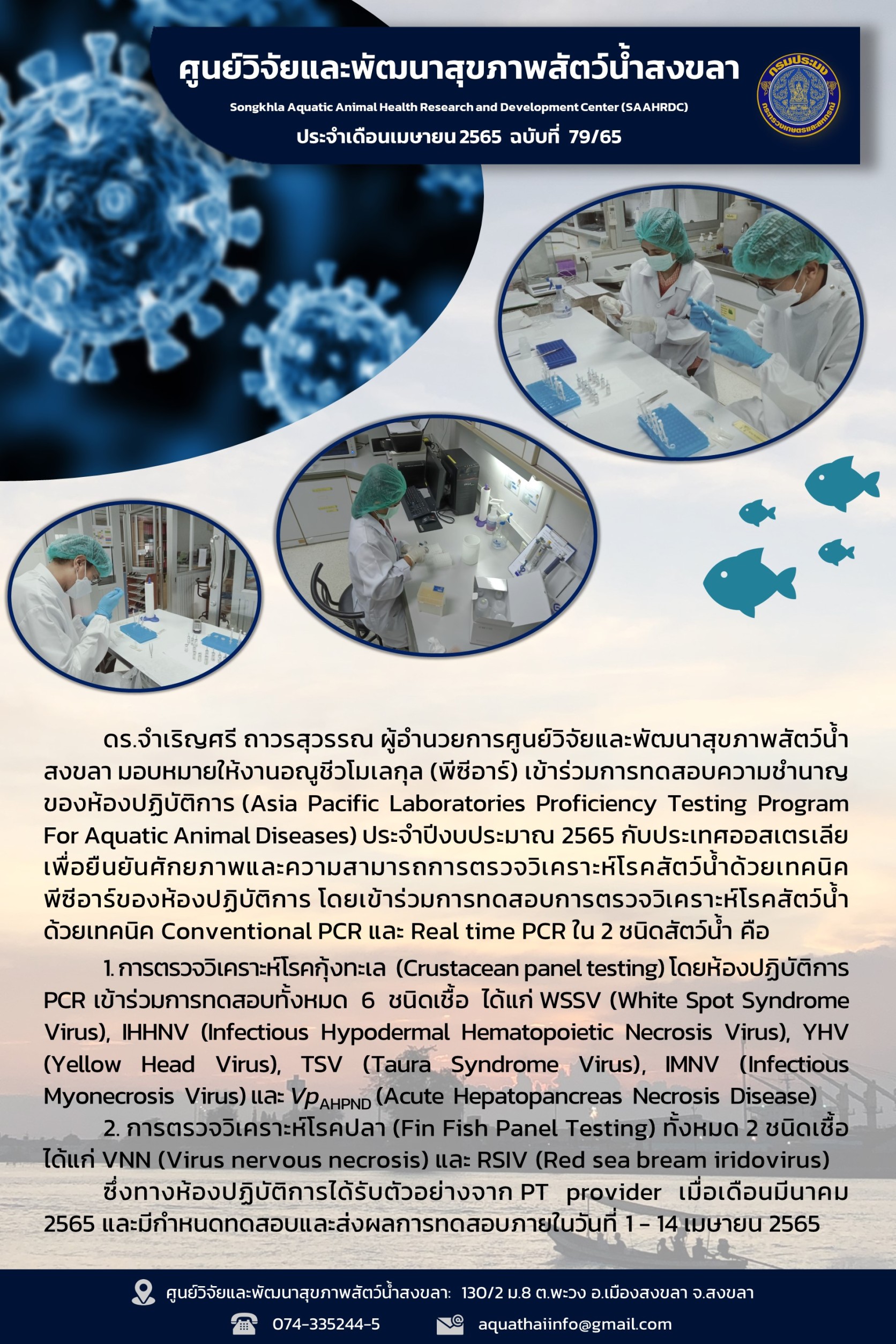 ฉบับที่ 79/65  ศูนย์วิจัยและพัฒนาสุขภาพสัตว์น้ำสงขลา เข้าร่วมการทดสอบความชำนาญ ของห้องปฏิบัติการ (Asia Pacific Laboratories Proficiency Testing Program For Aquatic Animal Diseases) ประจำปีงบประมาณ 2565..คลิก