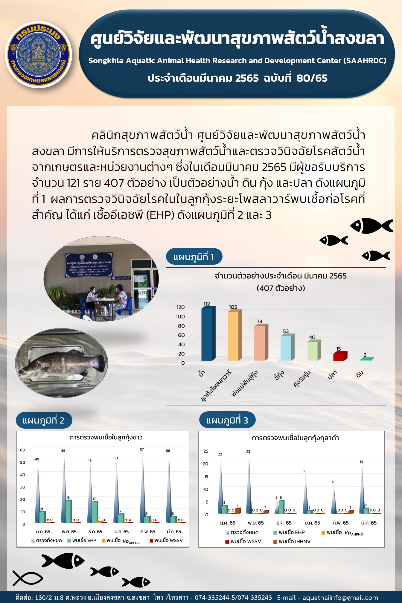 ฉบับที่ 80/65 ศูนย์วิจัยและพัฒนาสุขภาพสัตว์น้ำสงขลา มีการให้บริการตรวจสุขภาพสัตว์น้ำและตรวจวินิจฉัยโรคสัตว์น้ำ จากเกษตรและหน่วยงานต่างๆ..คลิก
