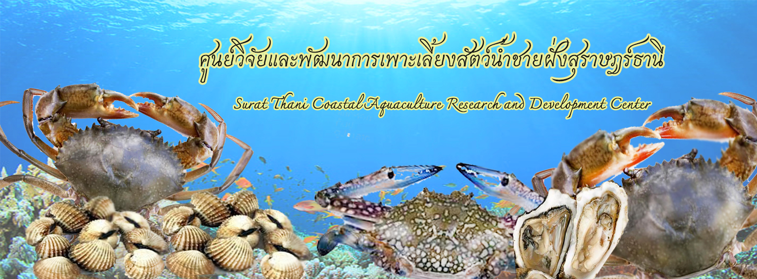 หน้าแรก