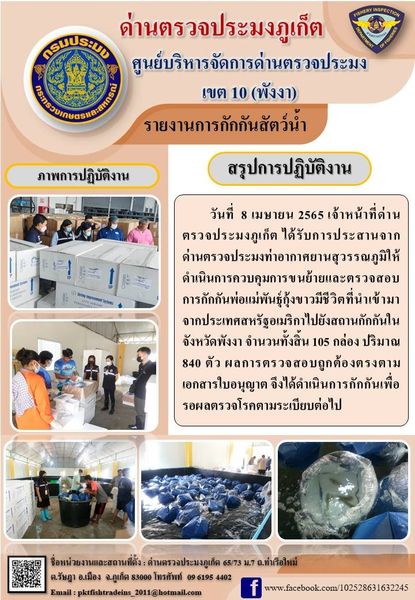 วันที่ 8 เมษายน 2565 เจ้าหน้าที่ด่านตรวจประมงภูเก็ต ได้รับการประสานจาก ด่านตรวจประมงท่าอากาศยานสุวรรณภูมิให้ดำเนินการควบคุมการขนย้ายและตรวจสอบการกักกันพ่อแม่พันธุ์กุ้งขาวมีชีวิตที่นำเข้ามาจากประเทศสหรัฐอเมริกาไปยังสถานกักกันในจังหวัดพังงา จำนวนทั้งสิ้น 105 กล่อง ปริมาณ 840 ตัว ผลการตรวจสอบถูกต้องตรงตามเอกสารใบอนุญาต จึงได้ดำเนินการกักกันเพื่อรอผลตรวจโรคตามระเบียบต่อไป..คลิก