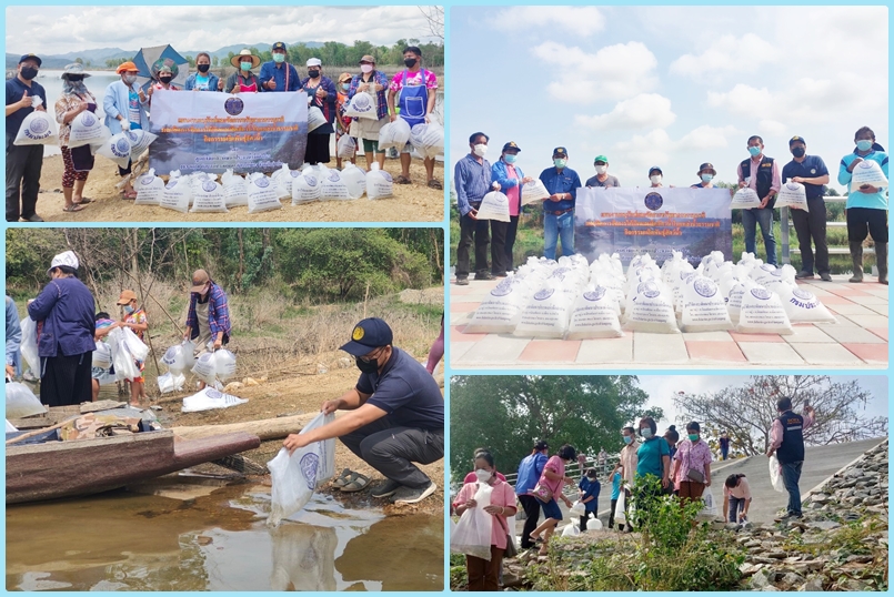 ปล่อยพันธุ์ปลาตะเพียนขาว จำนวน 200,000 ตัว ในพื้นที่อำเภอเถิน จังหวัดลำปาง..คลิก