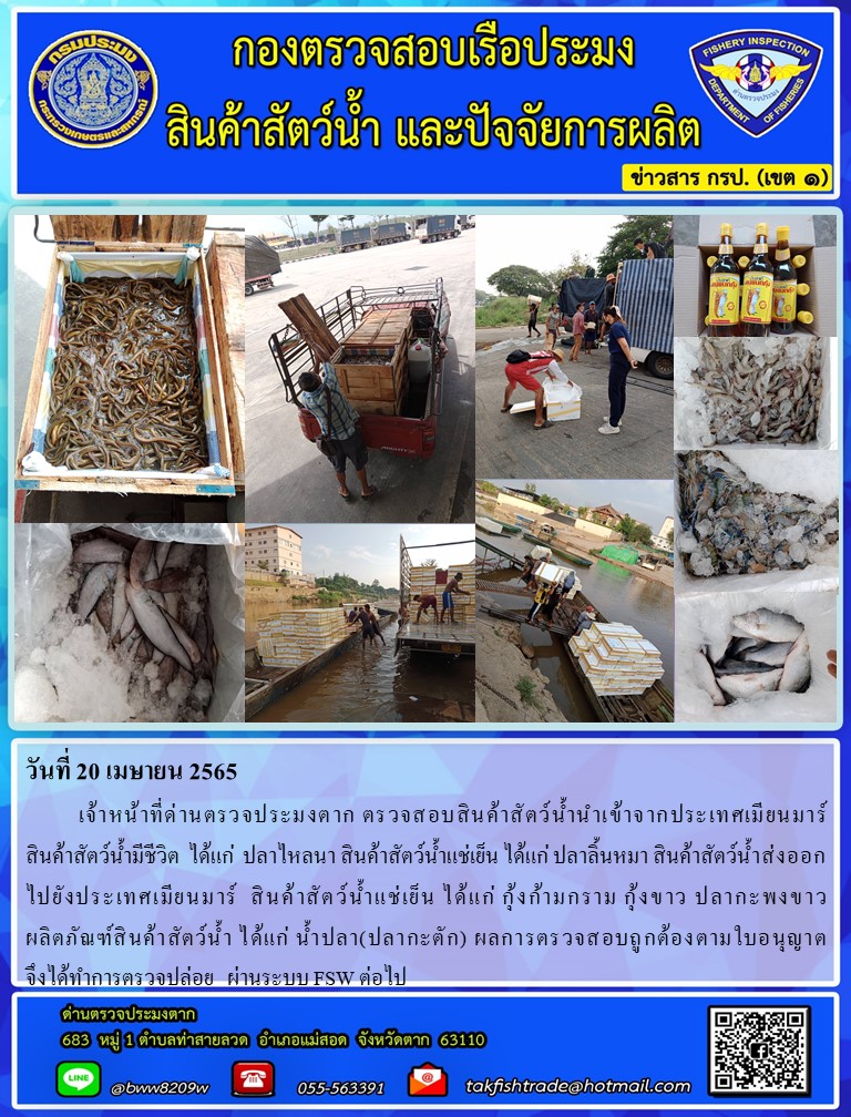 วันที่ 20 เมษายน 2565  	เจ้าหน้าที่ด่านตรวจประมงตาก ตรวจสอบสินค้าสัตว์น้ำนำเข้าจากประเทศเมียนมาร์                      สินค้าสัตว์น้ำมีชีวิต  ได้แก่  ปลาไหลนา สินค้าสัตว์น้ำแช่เย็น ได้แก่ ปลาลิ้นหมา สินค้าสัตว์น้ำส่งออกไปยังประเทศเมียนมาร์  สินค้าสัตว์น้ำแช่เย็น ได้แก่ กุ้งก้ามกราม กุ้งขาว ปลากะพงขาว              ผลิตภัณฑ์สินค้าสัตว์น้ำ ได้แก่ น้ำปลา(ปลากะตัก) ผลการตรวจสอบถูกต้องตามใบอนุญาต                                      จึงได้ทำการตรวจปล่อย   ผ่านระบบ FSW ต่อไป