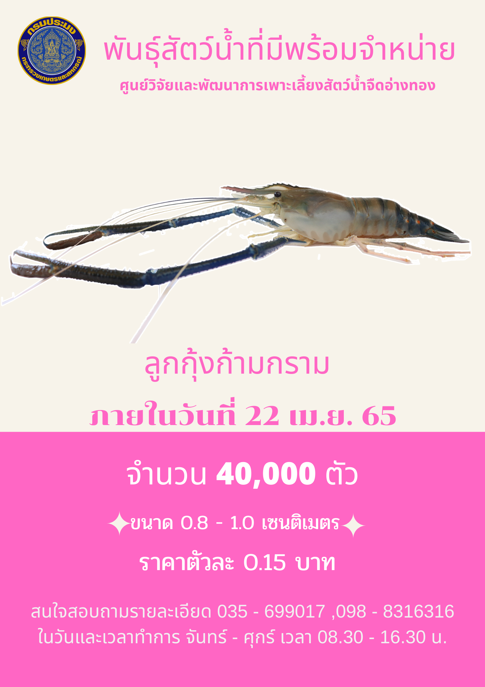 *****ปิดการจำหน่าย****พันธุ์ลูกกุ้งก้ามกรามพร้อมจำหน่าย..คลิก