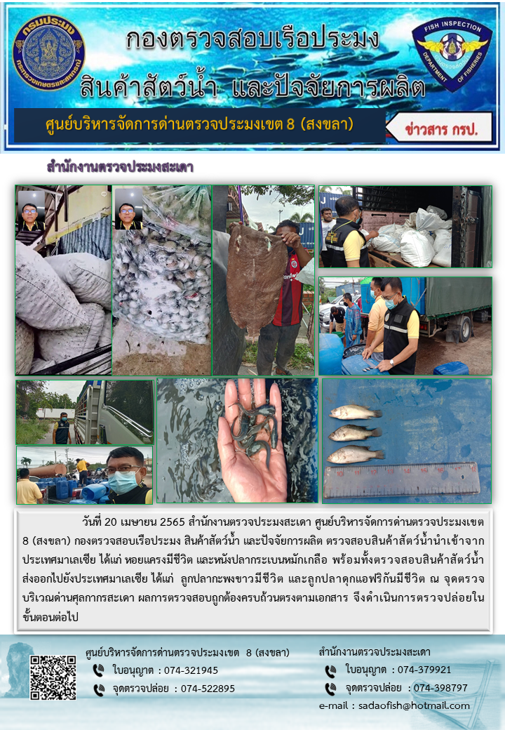 ประชาสัมพันธ์การปฏิบัติงาน วันที่ 20 เมษายน 2565 สำนักงานตรวจประมงสะเดา..คลิก