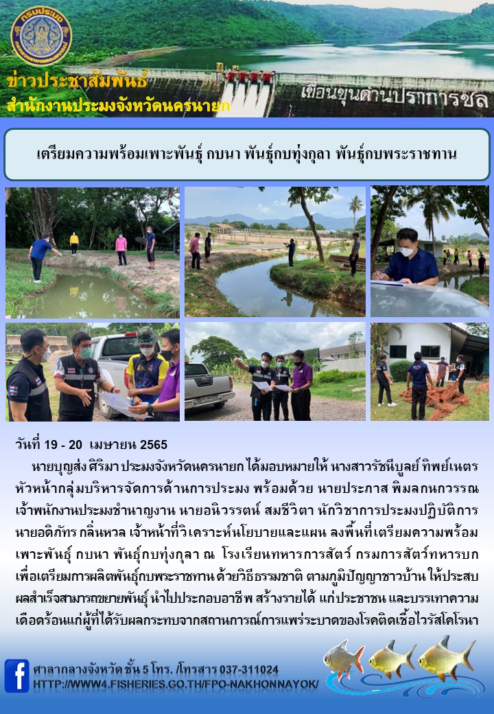 เตรียมความพร้อมเพาะพันธุ์ กบนา พันธุ์กบทุ่งกุลา พันธุ์กบพระราชทาน..คลิก