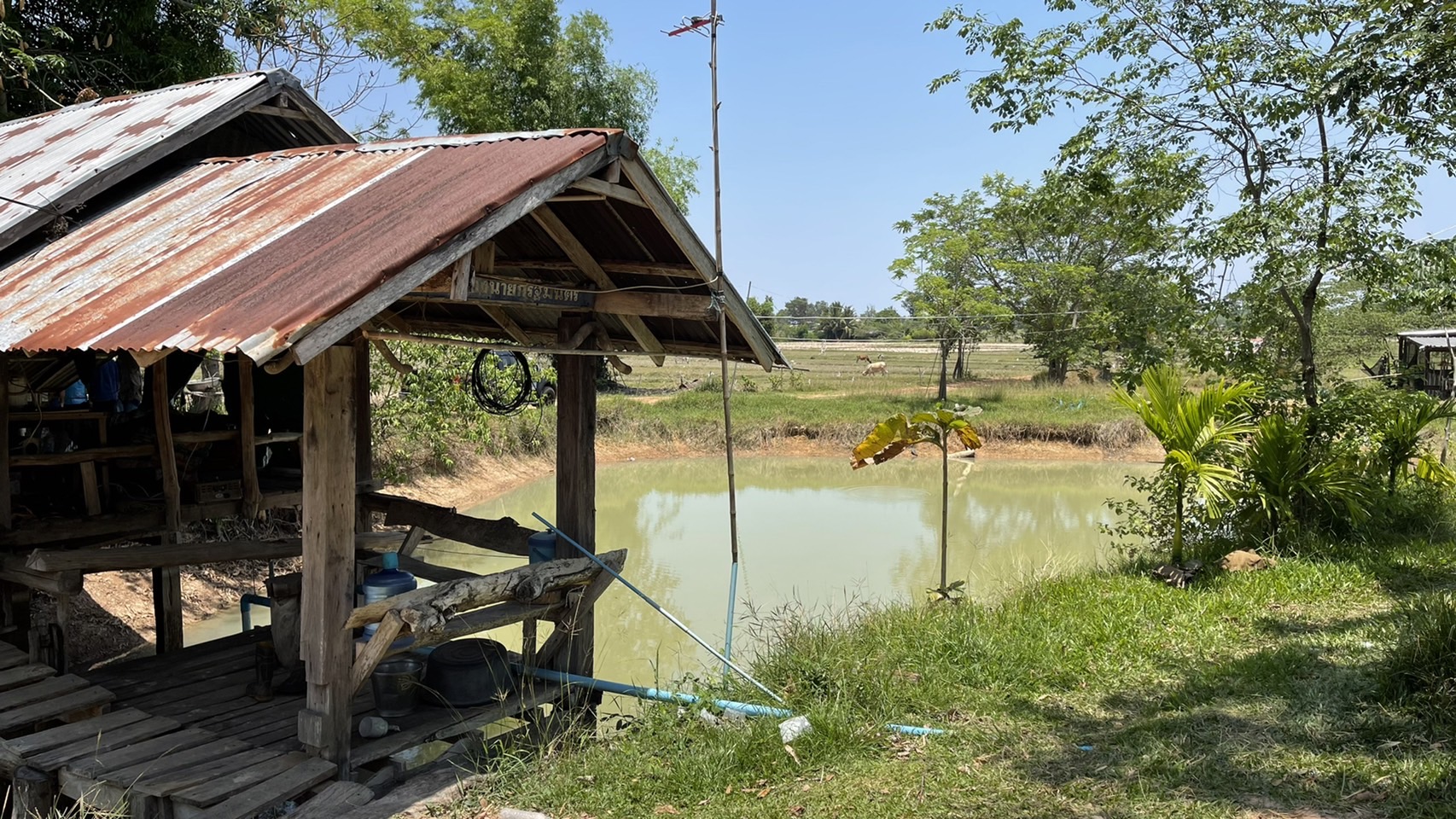 สำนักงานประมงจังหวัดมุกดาหาร มอบปัจจัยการผลิต โครงการเกษตรทฤษฎีใหม่ด้านการประมง ประจำปี 2565