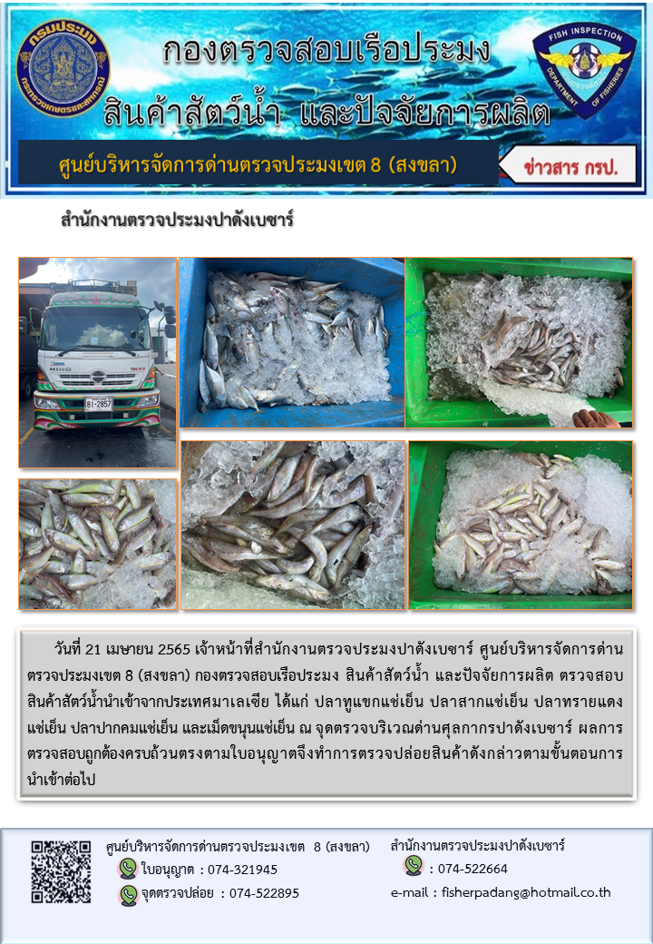 ประชาสัมพันธ์การปฏิบัติงาน วันที่ 21 เมษายน 2565 สำนักงานตรวจประมงปาดังเบซาร์..คลิก
