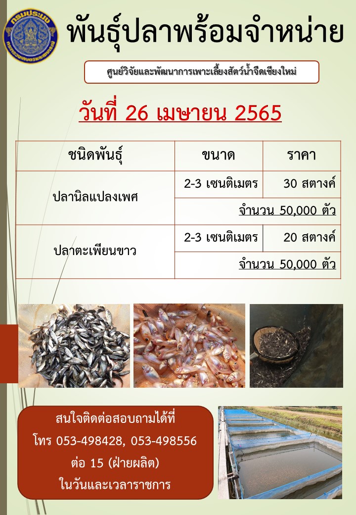 พันธุ์ปลาพร้อมจำหน่าย วันที่ 26 เมษายน 2565..คลิก