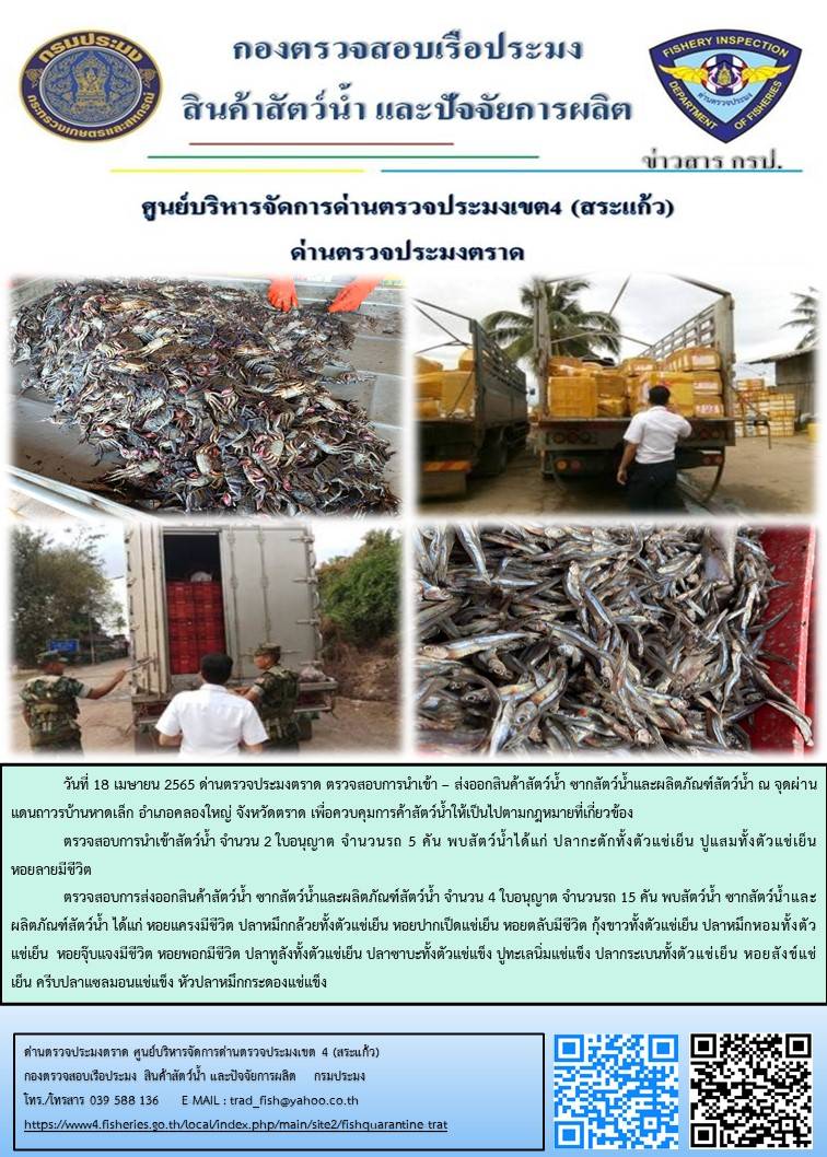วันที่ 18 เมษายน 2565 ด่านตรวจประมงตราด ตรวจสอบการนำเข้า – ส่งออกสินค้าสัตว์น้ำ ซากสัตว์น้ำและผลิตภัณฑ์สัตว์น้ำ ณ จุดผ่านแดนถาวรบ้านหาดเล็ก อำเภอคลองใหญ่ จังหวัดตราด และ ตรวจสอบเรือประมงไทย ร่วมกับชุดสหวิชาชีพ กรมเจ้าท่า กรมการจัดหางาน กรมสวัสดิการและคุ้มครองแรงงานและล่ามภาษากัมพูชา ในพื้นที่อำเภอคลองใหญ่ อำเภอเมือง อำเภอแหลมงอบ จังหวัดตราด..คลิก